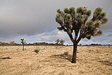 Steam主题免费送，头像、头像框、贴纸一起打包入库