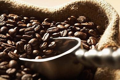 Epic喜加二：《隐藏的家伙》《可靠快递》免费领取