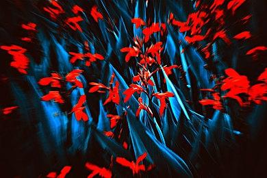 《霍格沃茨之遗》开发商将通过免费更新回馈玩家